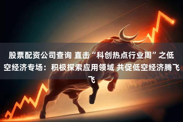 股票配资公司查询 直击“科创热点行业周”之低空经济专场：积极探索应用领域 共促低空经济腾飞