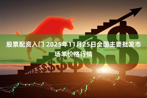 股票配资入门 2025年11月25日全国主要批发市场羊价格行情
