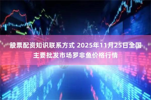 股票配资知识联系方式 2025年11月25日全国主要批发市场罗非鱼价格行情