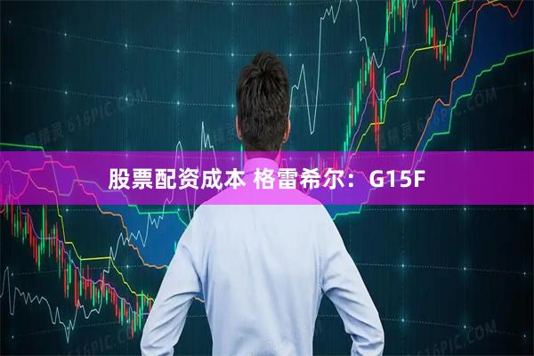 股票配资成本 格雷希尔：G15F